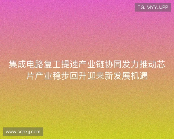 集成电路复工提速产业链协同发力推动芯片产业稳步回升迎来新发展机遇